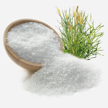 Az alkáli só kúra a természet válasza a daganatokra.